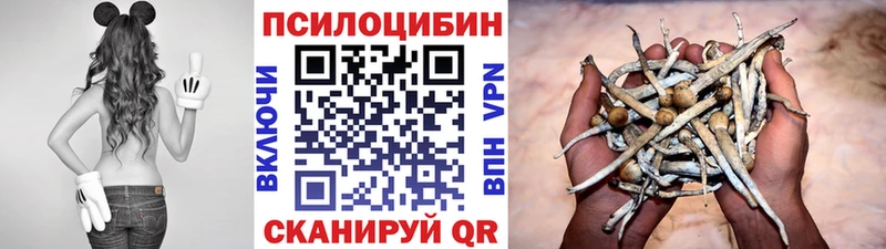 мориарти официальный сайт Удачный Псилоцибиновые грибы Psilocybe