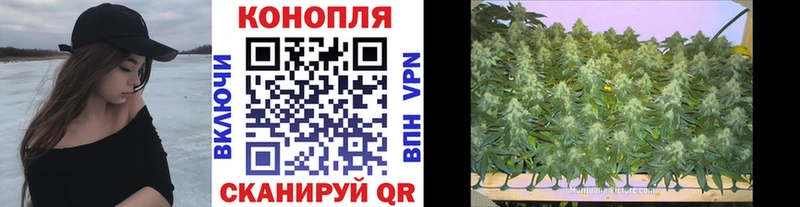 Каннабис SATIVA & INDICA  Удачный 